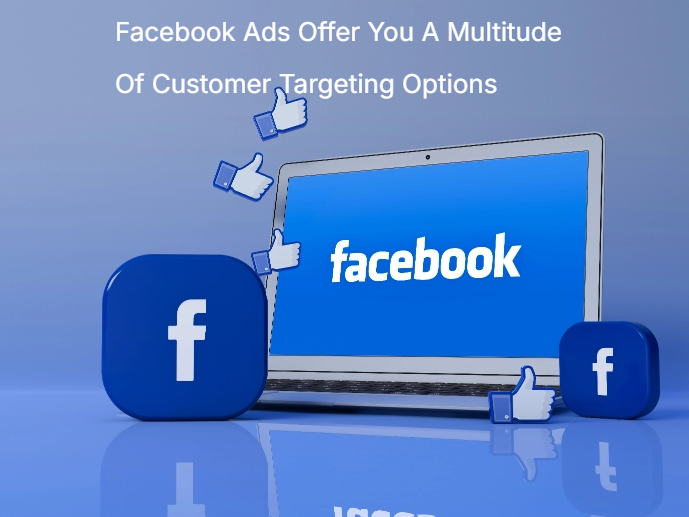 Facebook Ads Offer You A Multitude Of Customer Targeting Options
